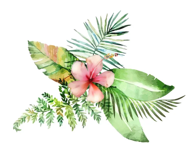 Hand Drawn Watercolor Tropical Plants — Stock Vector
