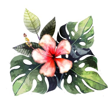 Hand drawn watercolor tropical plants. clipart