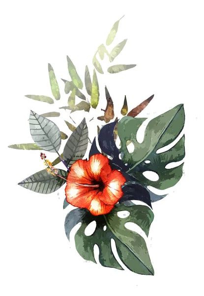 Aquarela Desenhada Mão Plantas Tropicais —  Vetores de Stock