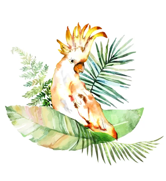 热带植物与鹦鹉 — 图库矢量图片