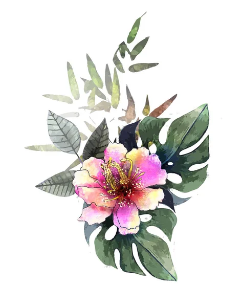 Kézzel Rajzolt Akvarell Trópusi Növények — Stock Vector
