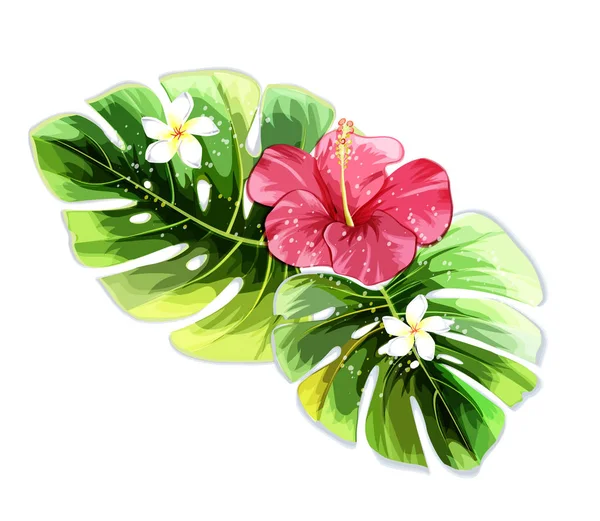 Plantas Tropicales Con Hibisco — Vector de stock