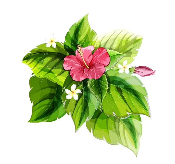 Tropical Plants Hibiscus — Stock Vector