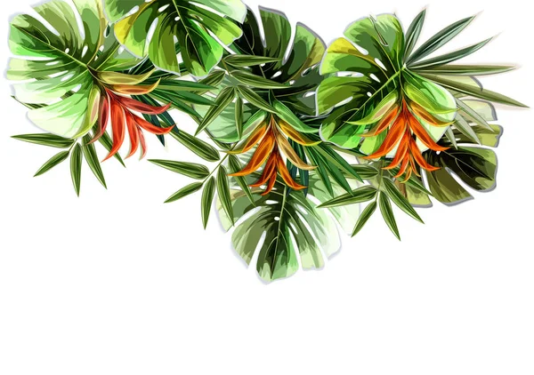 Tropiska Växter Vektorillustration — Stock vektor