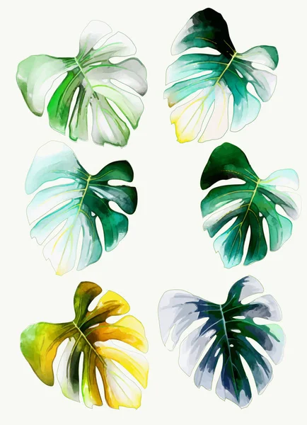 Conjunto Hojas Plantas Tropicales Acuarela — Archivo Imágenes Vectoriales