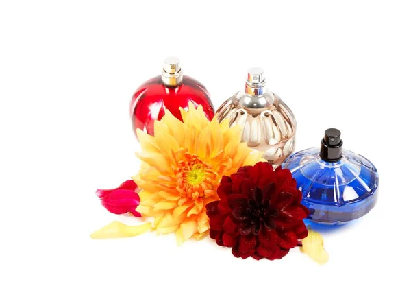 Frascos de perfume com flores sobre um fundo branco — Fotografia de Stock