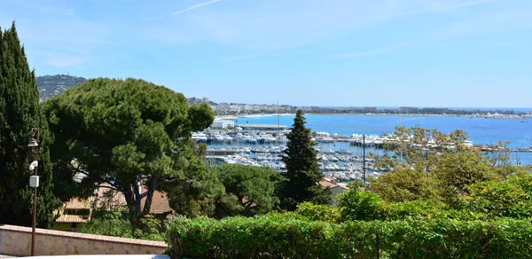 Ciudad Cannes Francia Famosa Promenade Croisette Puerto Deportivo Con Yates — Foto de Stock