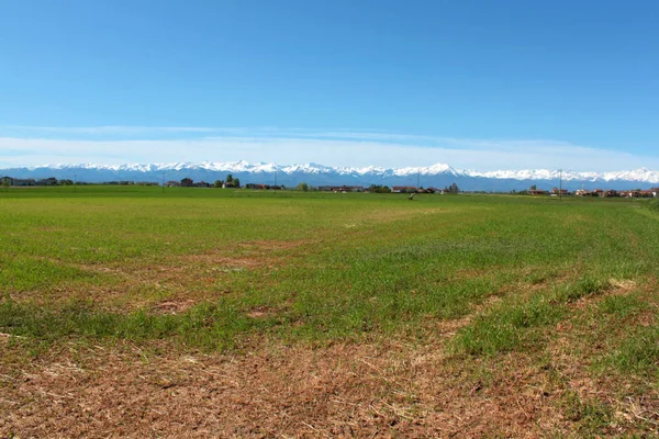 Ebene Natürliche Landschaft Mit Alpen Hintergrund — Stockfoto