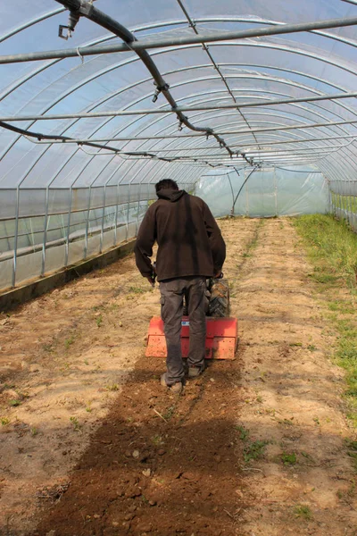 Hombre Que Trabaja Los Campos Agrícolas — Foto de Stock