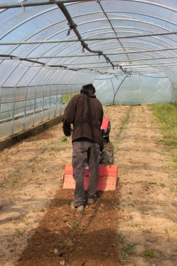 Tarımsal alanlarda çalışan bir adam