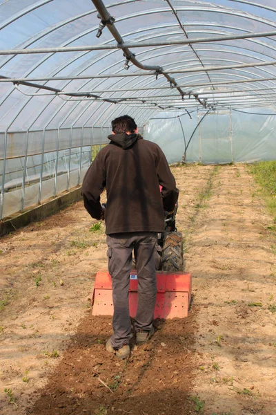 Homem Que Trabalha Nos Campos Agrícolas — Fotografia de Stock