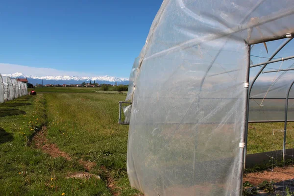 Exploração Agrícola Para Produção Vegetal — Fotografia de Stock