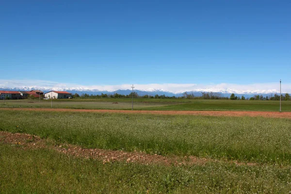 Ebene Natürliche Landschaft Mit Alpen Hintergrund — Stockfoto