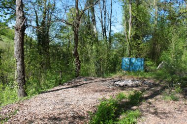 alp dağlarında tarım alanında bitki örtüsü