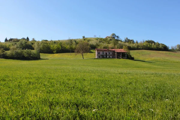 Ancient Piedmontese Bondgård Landsbygden — Stockfoto