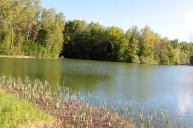 yeşil kırsal manzaralı doğal göl