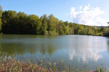 yeşil kırsal manzaralı doğal göl