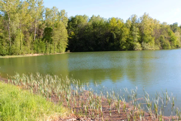 yeşil kırsal manzaralı doğal göl