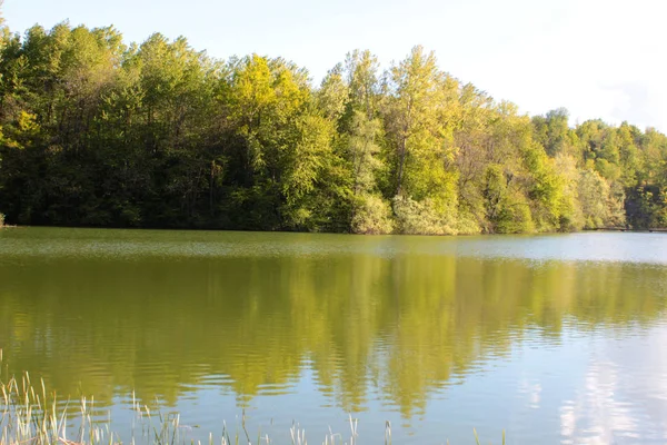 緑豊かな田園地帯を望む自然の湖 — ストック写真