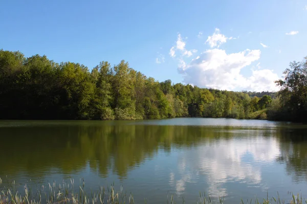 緑豊かな田園地帯を望む自然の湖 — ストック写真