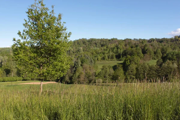 Paisaje Natural Con Vistas Verde Campo — Foto de Stock