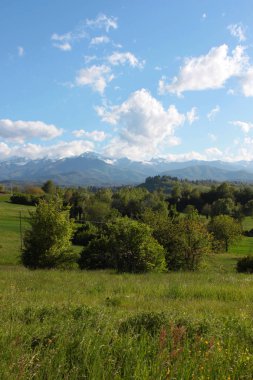 yeşil kırsal manzaralı doğal peyzaj