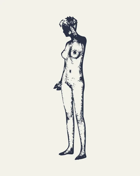 Эскиз обнаженной девушки — стоковый вектор
