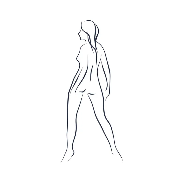 Silhouette femme sexy — Image vectorielle