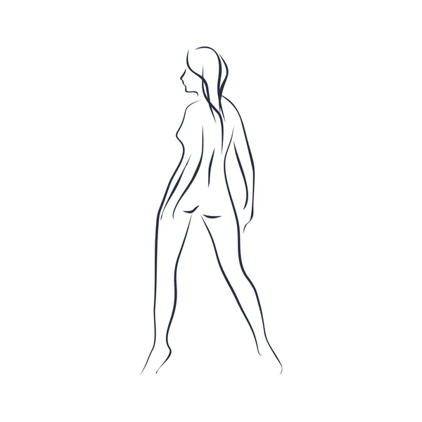 Silueta de mujer sexy — Vector de stock