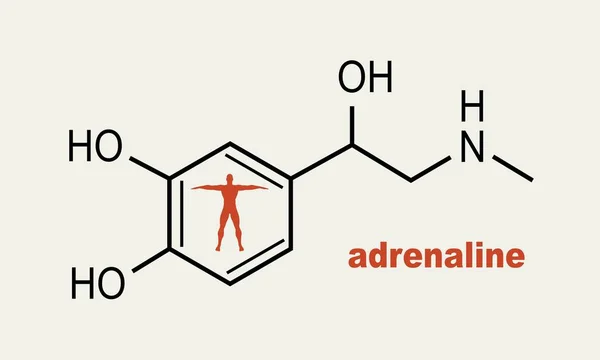 Formule hormoon adrenaline. — Stockvector