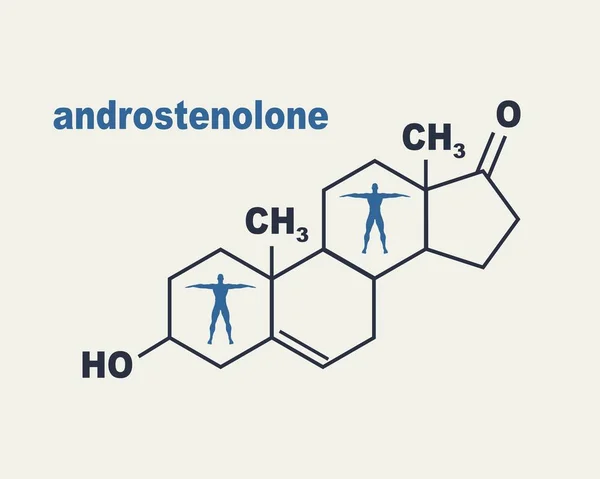 Fórmula hormônio androstenolona . —  Vetores de Stock