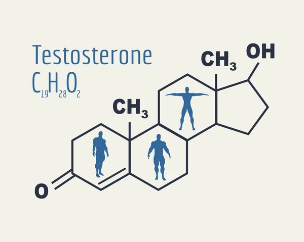 Fórmula hormônio testosterona. —  Vetores de Stock