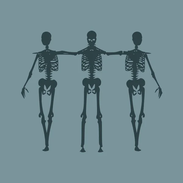 Halloween emberi csontváz — Stock Vector