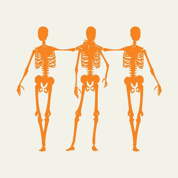 Halloween menselijk skelet — Stockvector