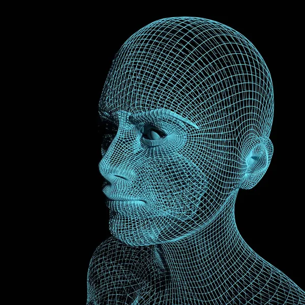 Lady from a 3d Grid.