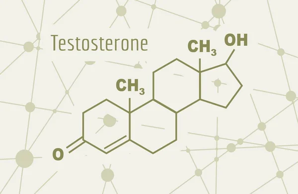 Hormona de fórmula testosterona. — Archivo Imágenes Vectoriales