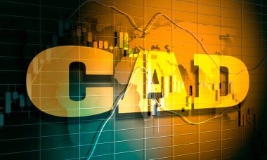 Şamdan borsa geçmişi