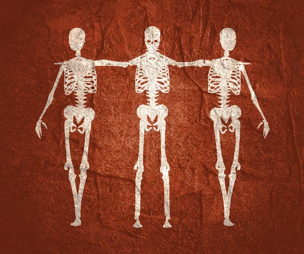 Halloween menselijk skelet — Stockfoto
