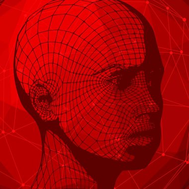 3D Grid 'den Kişinin Başı.