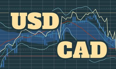 Şamdan borsa geçmişi