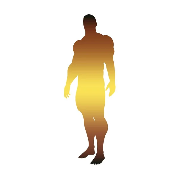 Bodybuilder silhouette image — Stock Vector