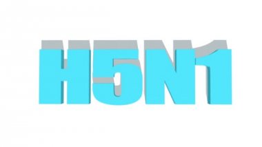 H5n1 hastalığı kavramı