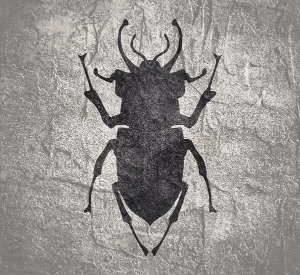 곤충에 대한 노골적 인 삽화 — 스톡 사진