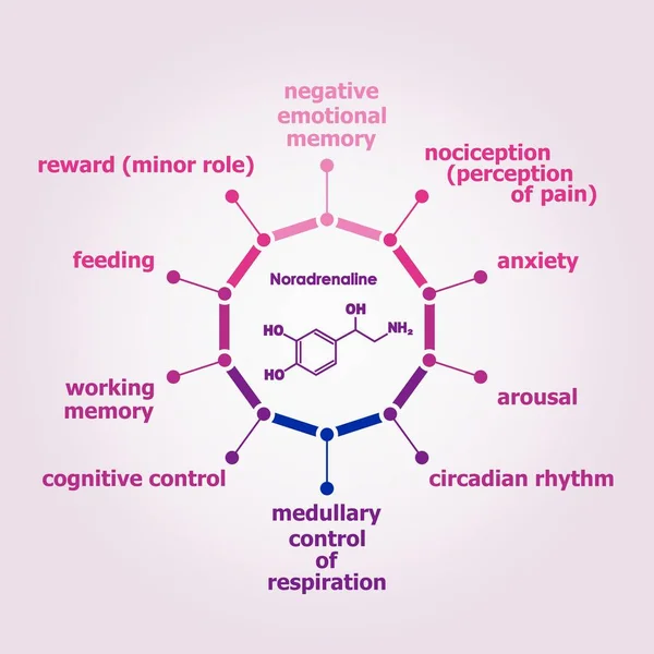 Formül hormonu noradrenalin..