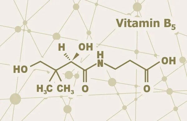 Formula di acido pantotenico — Vettoriale Stock