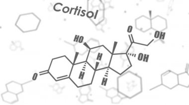 Steroid hormon kortizolü