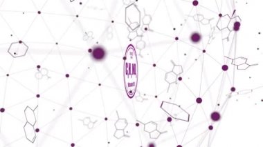 Pantotenik asit formülü