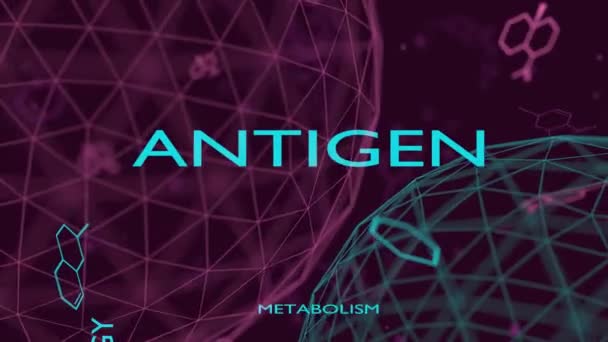 Kolase kata antigen — Stok Video