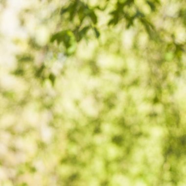 Yeşil arka plan Bokeh kabarcıkları ile