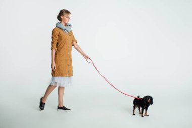 Sevimli kadın moda Model arka plan üzerinde köpekle